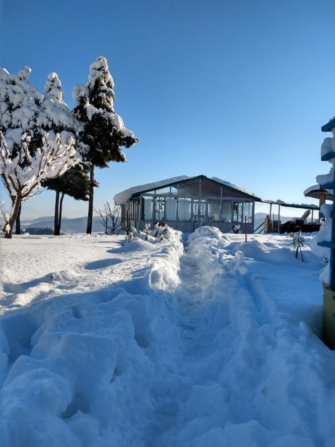 Chirping Orchard, Mukteshwar Bed & Breakfast Luaran gambar